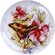 Virma decal 1826-Butterfly, Brown/Yellow
