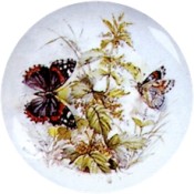 Virma decal 1828 - Butterfly, Black/Brown