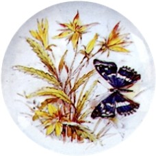 Virma 1836 Butterfly, blue Decal