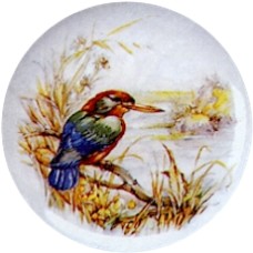Virma 1842 Kingfisher Bird Decal