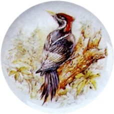 Virma 1844 Woodpecker Decal