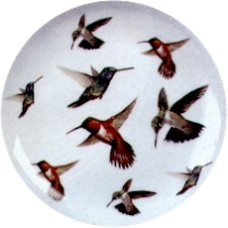 Virma 1982 Hummingbird set Decal