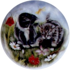 Virma 2014 Kittens Size A & B Decal