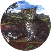 Virma decal 2286 A- Cat Set (7.5 inch)