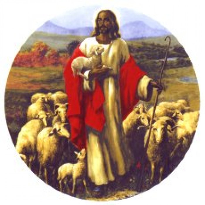 List 105+ Pictures Pictures Of Jesus With Sheep Superb