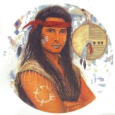 Virma 3082 American Indian (Male) Decal