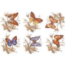 Virma 1008 Butterflies Decal