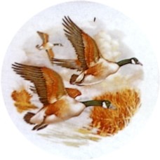 Virma 1012 Canadian Geese/Mallard Ducks Decal