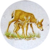 Virma decal 1572- Doe and Fawn