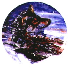 Virma 1754 Winter Wolf Decal