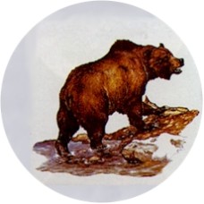 Virma 1808 Bear on Mountain Side Decal
