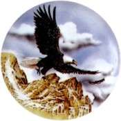 Virma decal 1954-Flying Bald Eagle