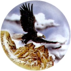 Virma 1954 Flying Bald Eagle Decal