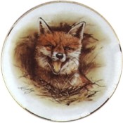 Virma decal 2170- Fox