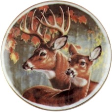 Virma 3012 Deer, Buck and Doe Decal