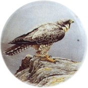 Virma decal 3070-Falcon