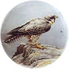 Virma 3070 Falcon Decal