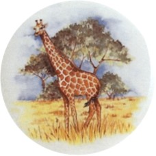 Virma 3130 Giraffe Decal