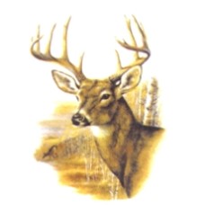 Virma 3136-AA Buck Mural Decal