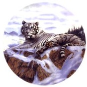 Virma decal 3332- White Tiger