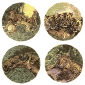 Virma decal 3010-Leopard set
