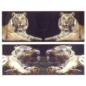 Virma decal 3094-White & Bangel Tiger
