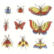 Virma decal 3308-butterflies, ladybugs and insects