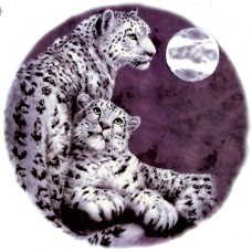 Virma 3420 White Leopard & Cub in Moonlight Decal