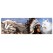 Zembillas decal 0742 - Indian Chief and White Wolf