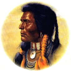 Zembillas decal 0888 - American Indian in Full Dress