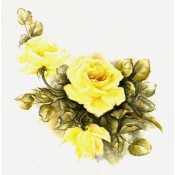 Zembillas decal 0786 - Charity Roses, Yellow