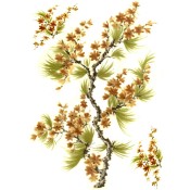 Zembillas decal 0872 - Oriental Blossom