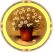 Zembillas decal 0928 - Collection Dulce, Potted Flowers Set
