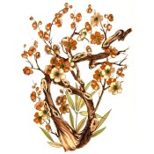 Zembillas decal 0952 - Asian Blossoms