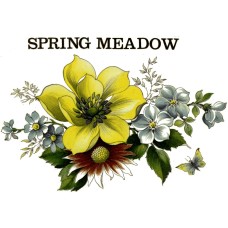 Zembillas decal - Spring Meadow, Yellow Pansy