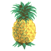 Zembillas decal 0942 - Pineapple Design