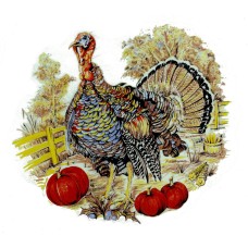 Zembillas decal 0246- Thanksgiving Turkey & Pumpkins