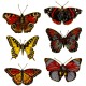 Zembillas decal 0096 - Butterflies 2