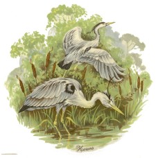 Zembillas decal 0259 - Herons