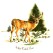 Zembillas decal 0277 - White Tailed Deer