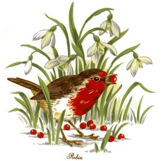 Zembillas decal 0283 - Red-Capped Robin