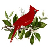 Zembillas decal 0337 - Red Cardinal