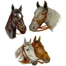 Zembillas decal 0427 - Grey Horses
