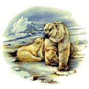 Zembillas decal 0735 - Polar Bears