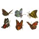 Decal Grab Bag - Butterflies