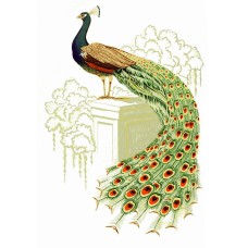 Zembillas decal 0916 - Peacock