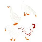 Virma decal 2356 - White Rooster and Ducks