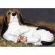 Basset Hound mold