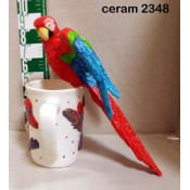 Macaw mold