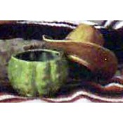 Southwest Salsa Container mold